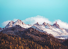 龙珠体育直播电脑版-锋线告急！国安官宣张玉宁伤情 休4-6周无缘国足